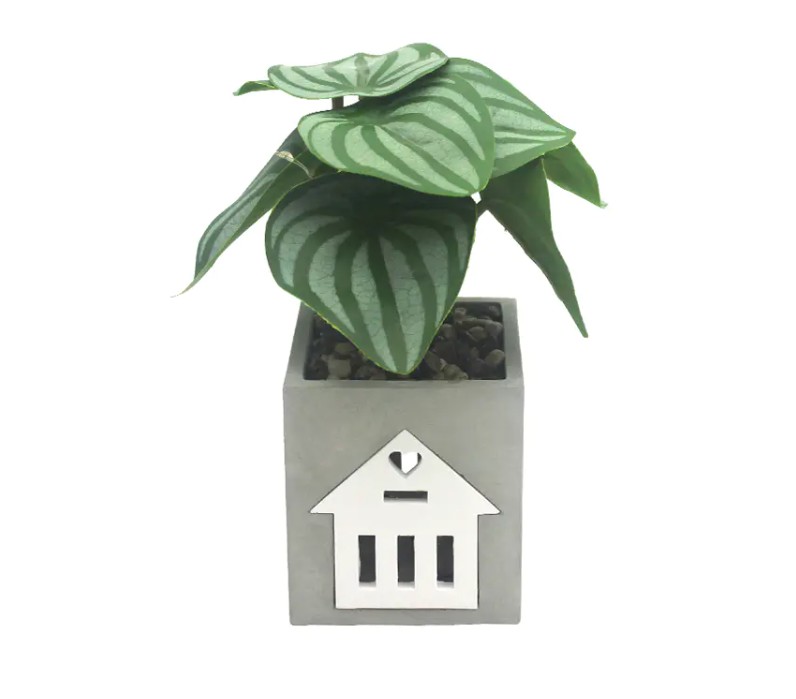 ভয়েস নিয়ন্ত্রণ এবং অটোমেশনের জন্য কি এলইডি সিমেন্ট ল্যাম্প স্মার্ট হোম সিস্টেমের সাথে সামঞ্জস্যপূর্ণ?